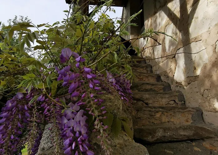 La Des Vergers De St Nicolas 3*