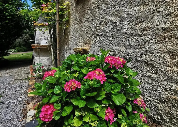 La Des Vergers De St Nicolas